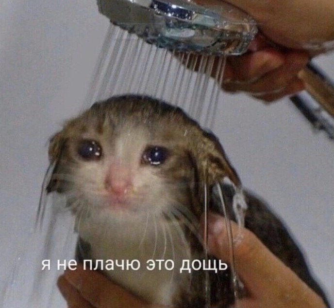 Болталка про ЗОЖ - трехсотый пауэрлифтер! - Бодибилдинг форум AnabolicShops