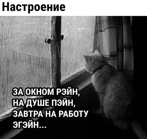 Курилка- разговоры на любые темы - Бодибилдинг форум AnabolicShops