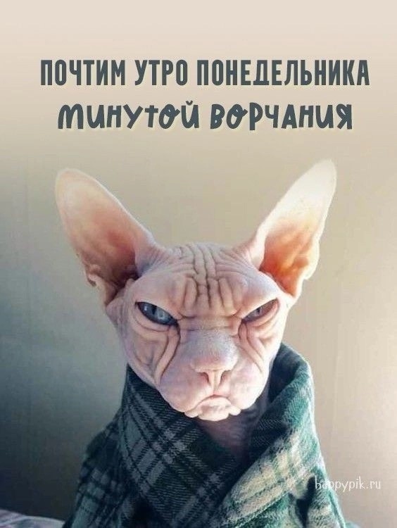 Курилка- разговоры на любые темы - Бодибилдинг форум AnabolicShops