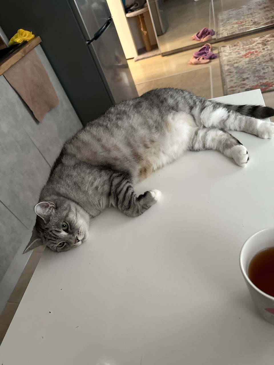 Мои домашние питомцы - Бодибилдинг форум AnabolicShops