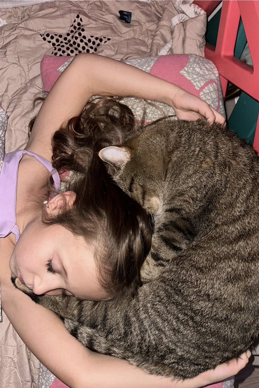 Мои домашние питомцы - Бодибилдинг форум AnabolicShops