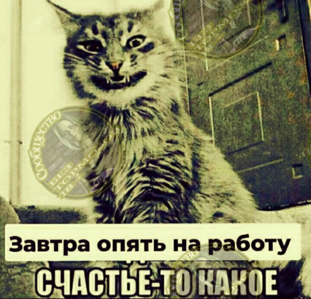 Курилка- разговоры на любые темы - Бодибилдинг форум AnabolicShops