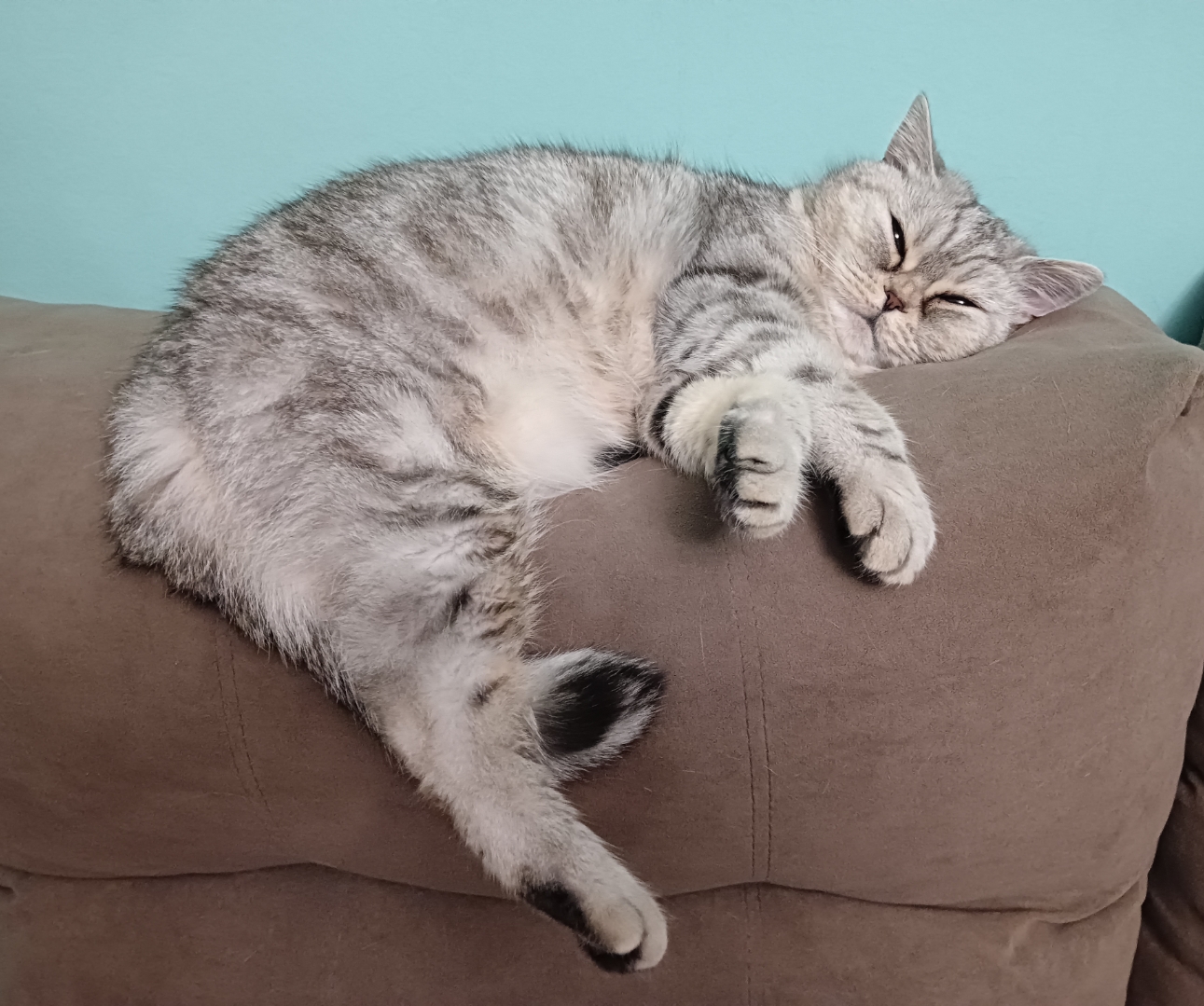 Hilma PRO - с заботой о вашем здоровье! - Бодибилдинг форум AnabolicShops