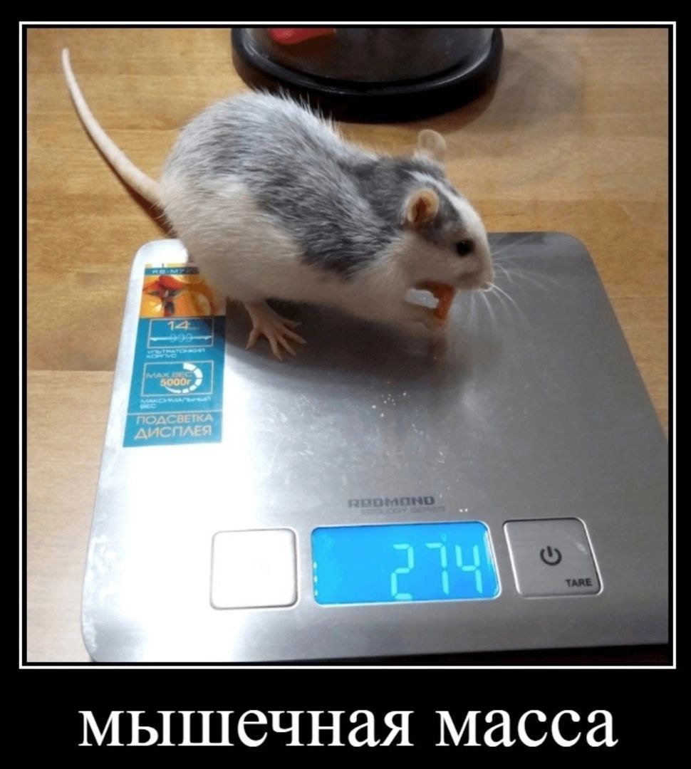 Курилка- разговоры на любые темы - Бодибилдинг форум AnabolicShops