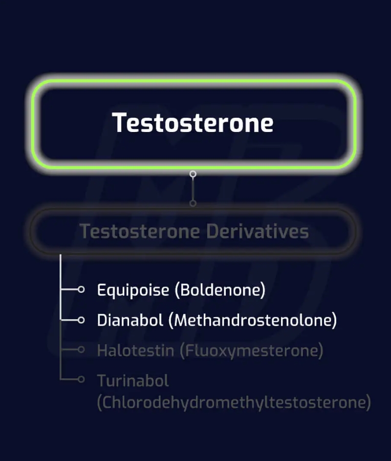 Hilma PRO - с заботой о вашем здоровье! - Бодибилдинг форум AnabolicShops