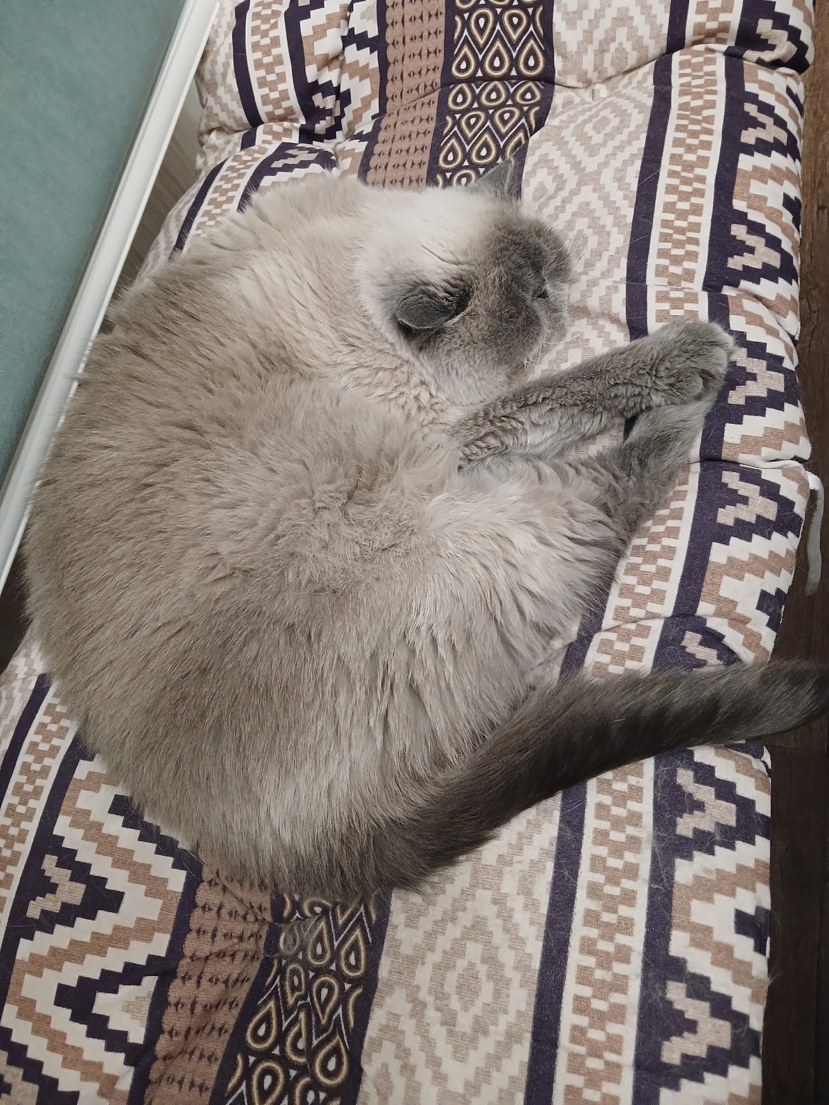 Мои домашние питомцы - Бодибилдинг форум AnabolicShops