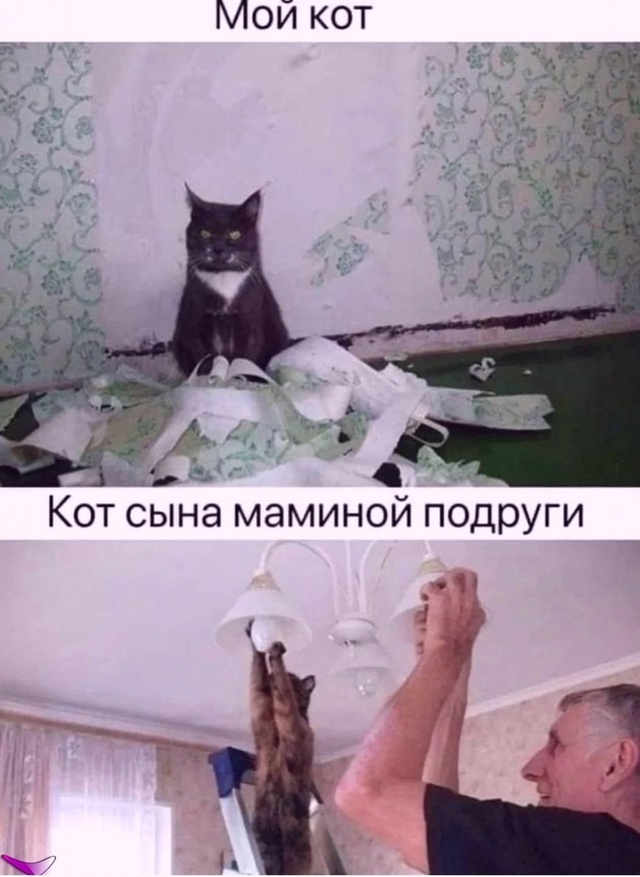 Курилка- разговоры на любые темы - Бодибилдинг форум AnabolicShops