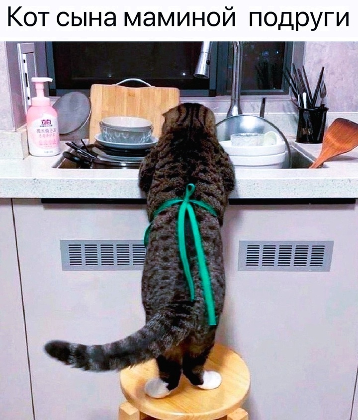 Курилка- разговоры на любые темы - Бодибилдинг форум AnabolicShops