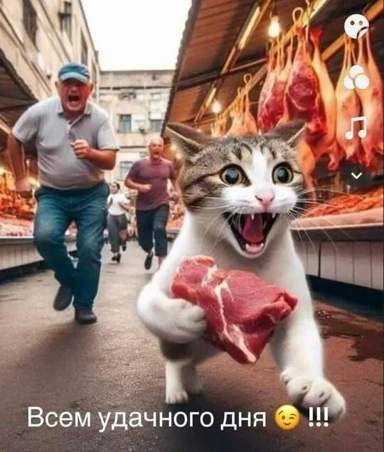 Hilma PRO - с заботой о вашем здоровье! - Бодибилдинг форум AnabolicShops