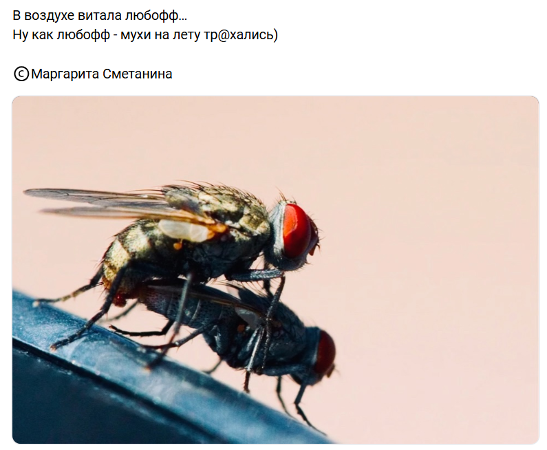 Курилка- разговоры на любые темы - Бодибилдинг форум AnabolicShops