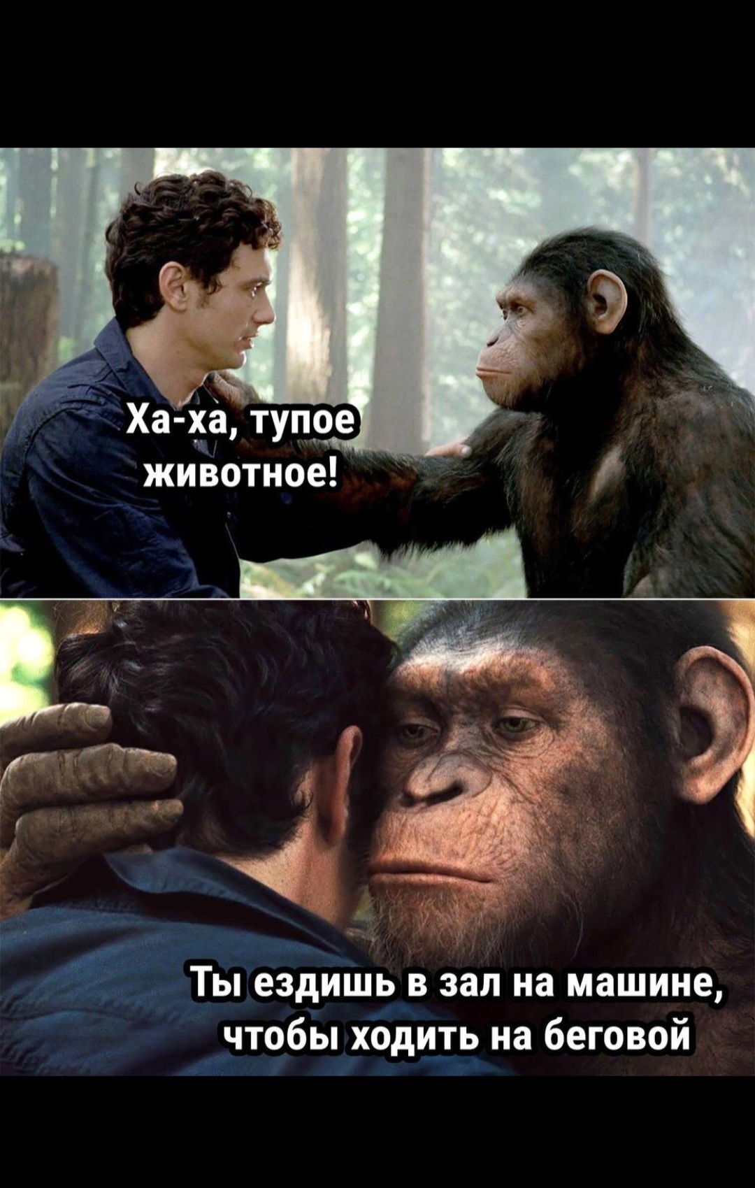 Hilma PRO - с заботой о вашем здоровье! - Бодибилдинг форум AnabolicShops