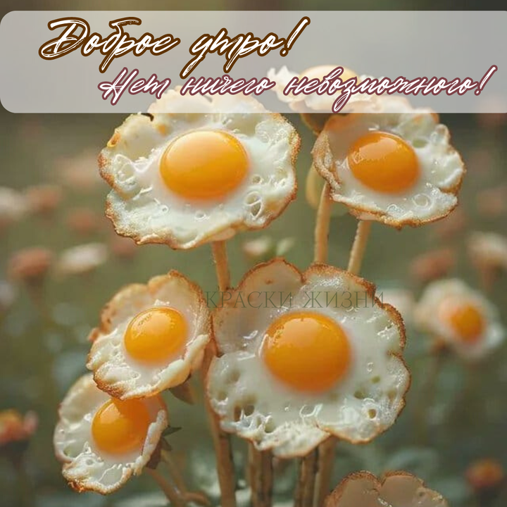 Hilma PRO - с заботой о вашем здоровье! - Бодибилдинг форум AnabolicShops