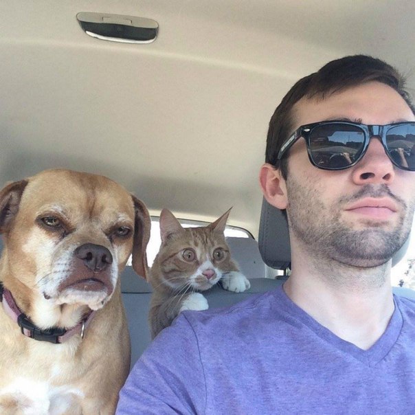 Samvar - Бодибилдинг форум AnabolicShops