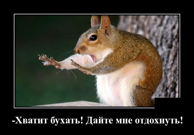 Курилка- разговоры на любые темы - Бодибилдинг форум AnabolicShops