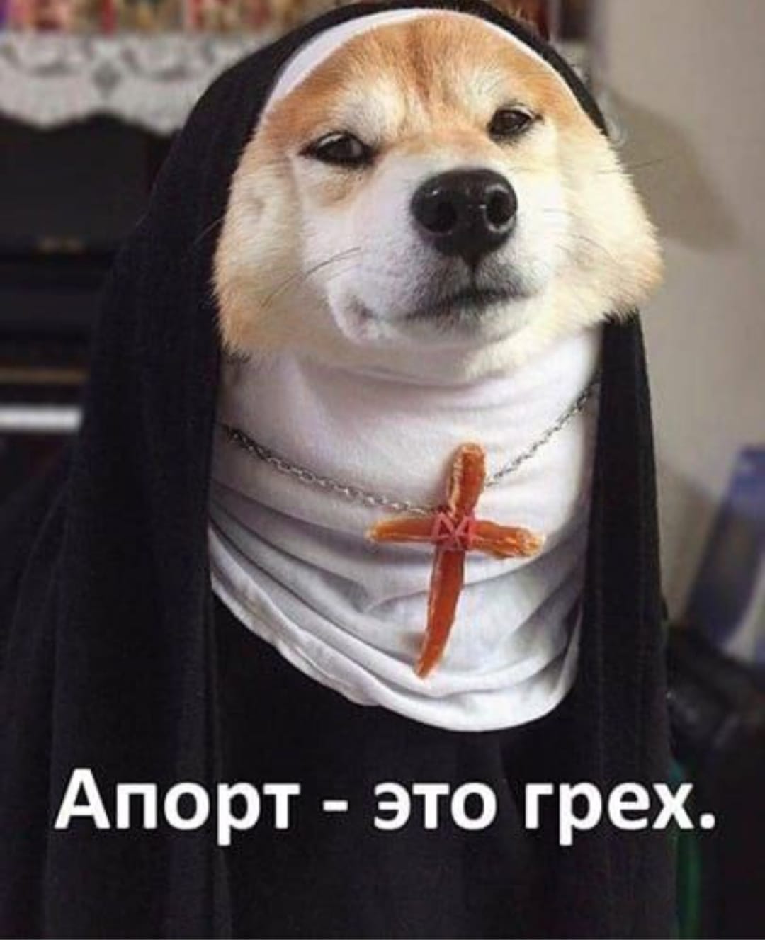 Приколюшные картинки - Бодибилдинг форум AnabolicShops