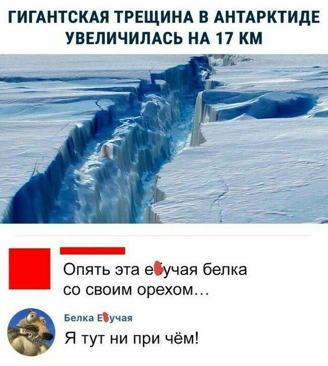 Приколюшные картинки - Бодибилдинг форум AnabolicShops