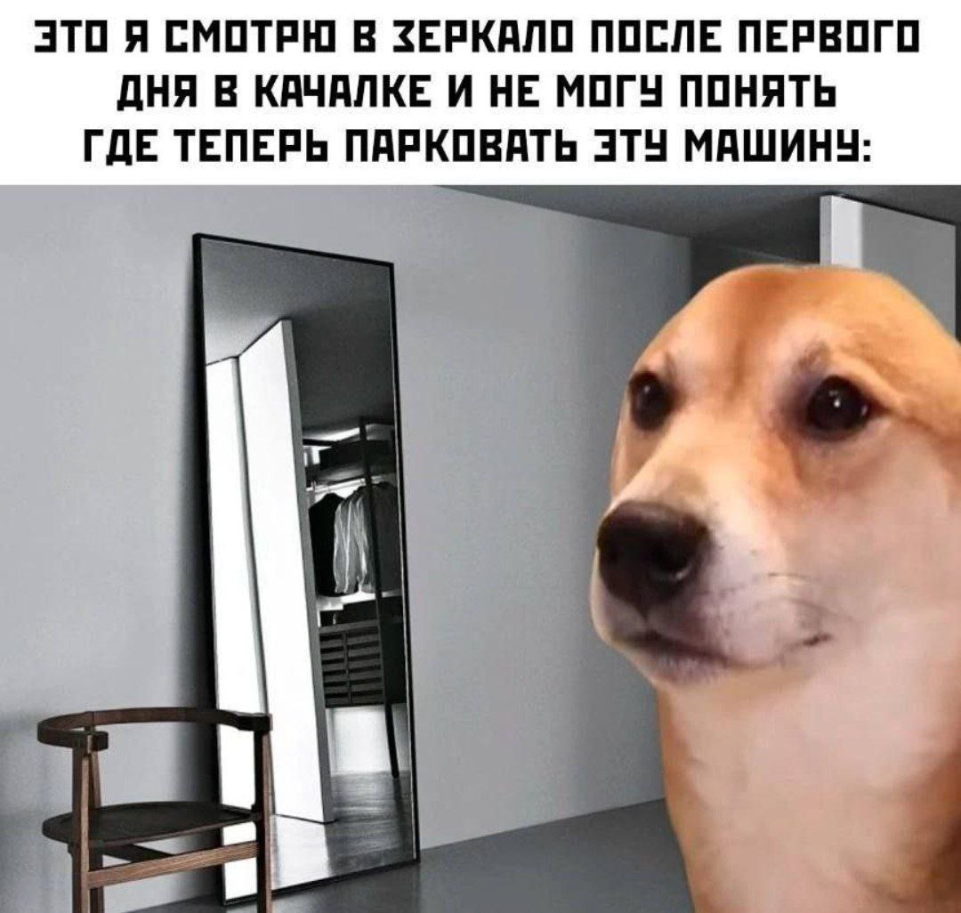 Приколюшные картинки - Бодибилдинг форум AnabolicShops