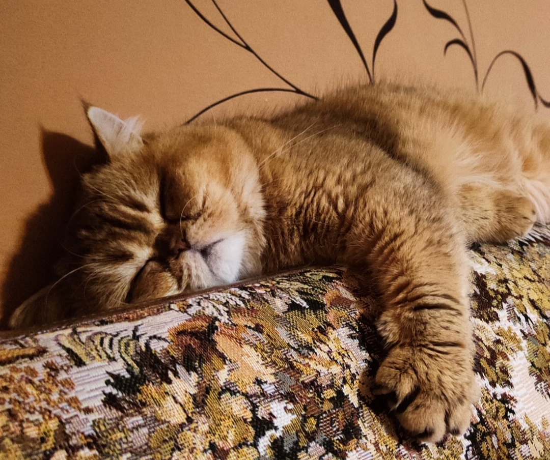 Hilma PRO - с заботой о вашем здоровье! - Бодибилдинг форум AnabolicShops