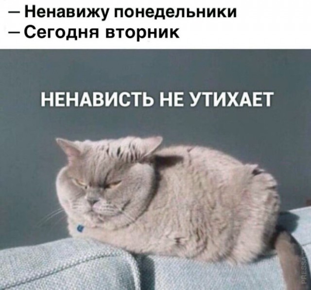 Курилка- разговоры на любые темы - Бодибилдинг форум AnabolicShops