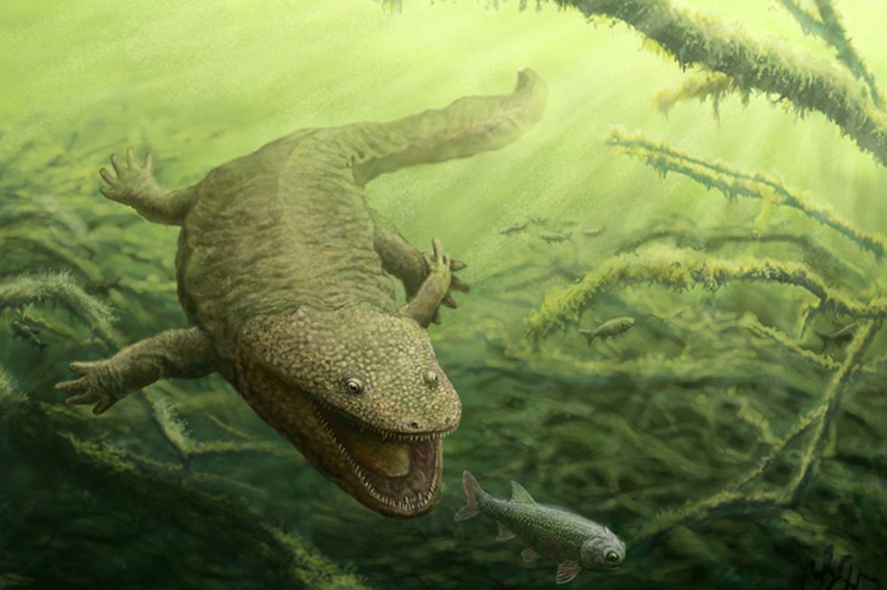 Mrs_muscles - Бодибилдинг форум AnabolicShops