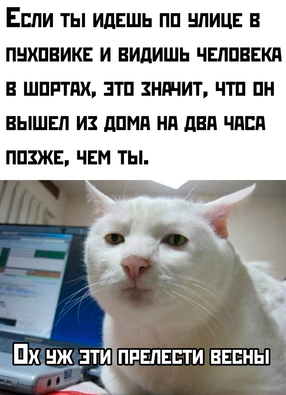 Приколюшные картинки - Бодибилдинг форум AnabolicShops