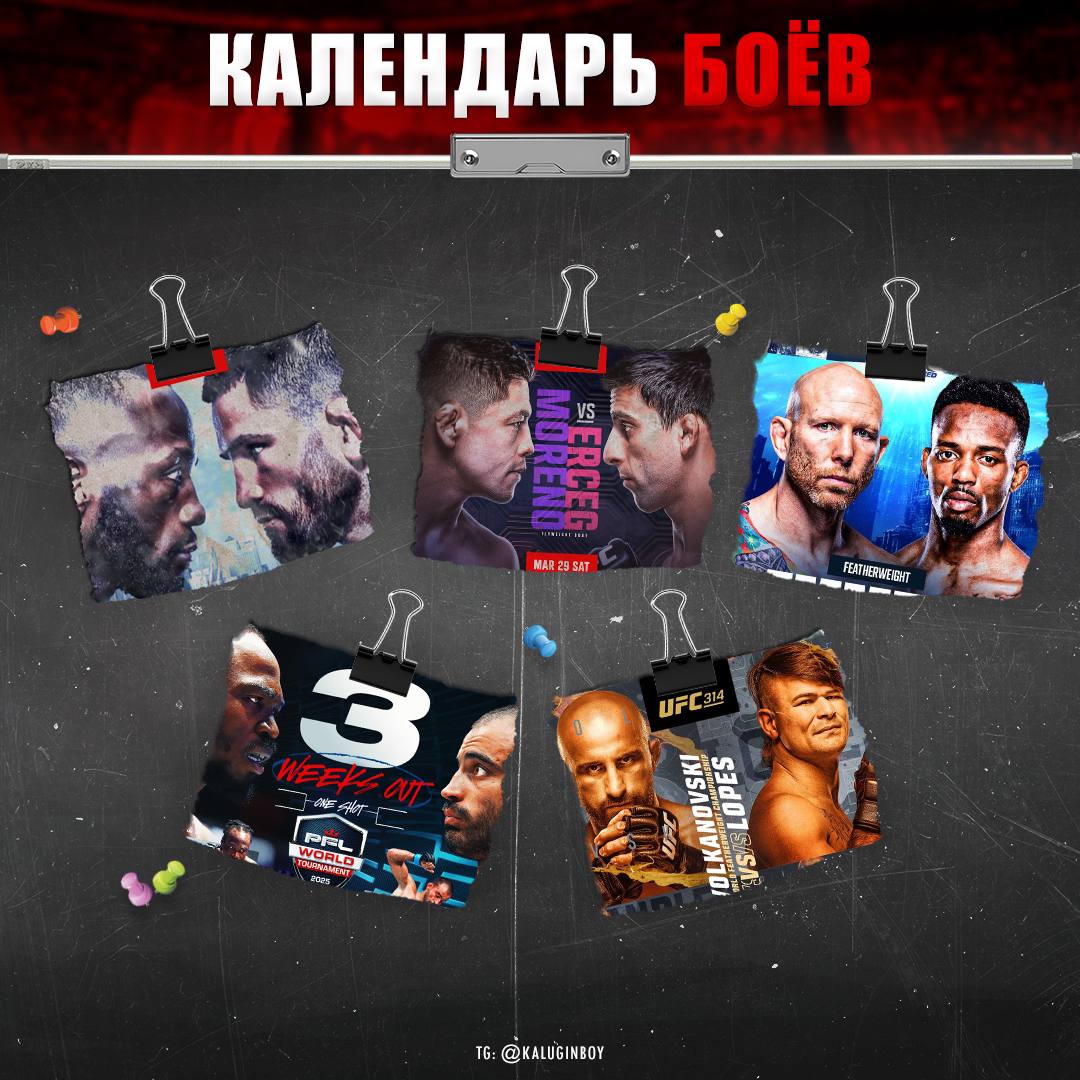 Новости из мира ММА и единоборств - Бодибилдинг форум AnabolicShops