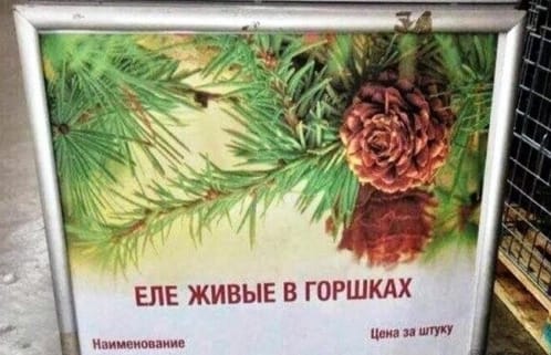 Приколюшные картинки - Бодибилдинг форум AnabolicShops