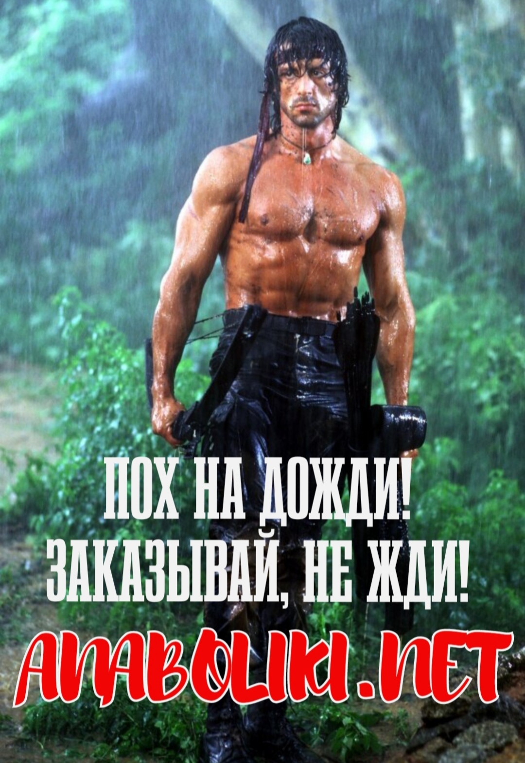 АНАБОЛИКИ.net - оф.дилер SP, Zerox, Genetic, Magnus, Lyka ! - Бодибилдинг форум AnabolicShops