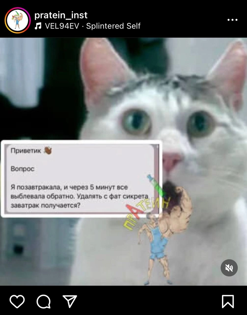 Приколюшные картинки - Бодибилдинг форум AnabolicShops