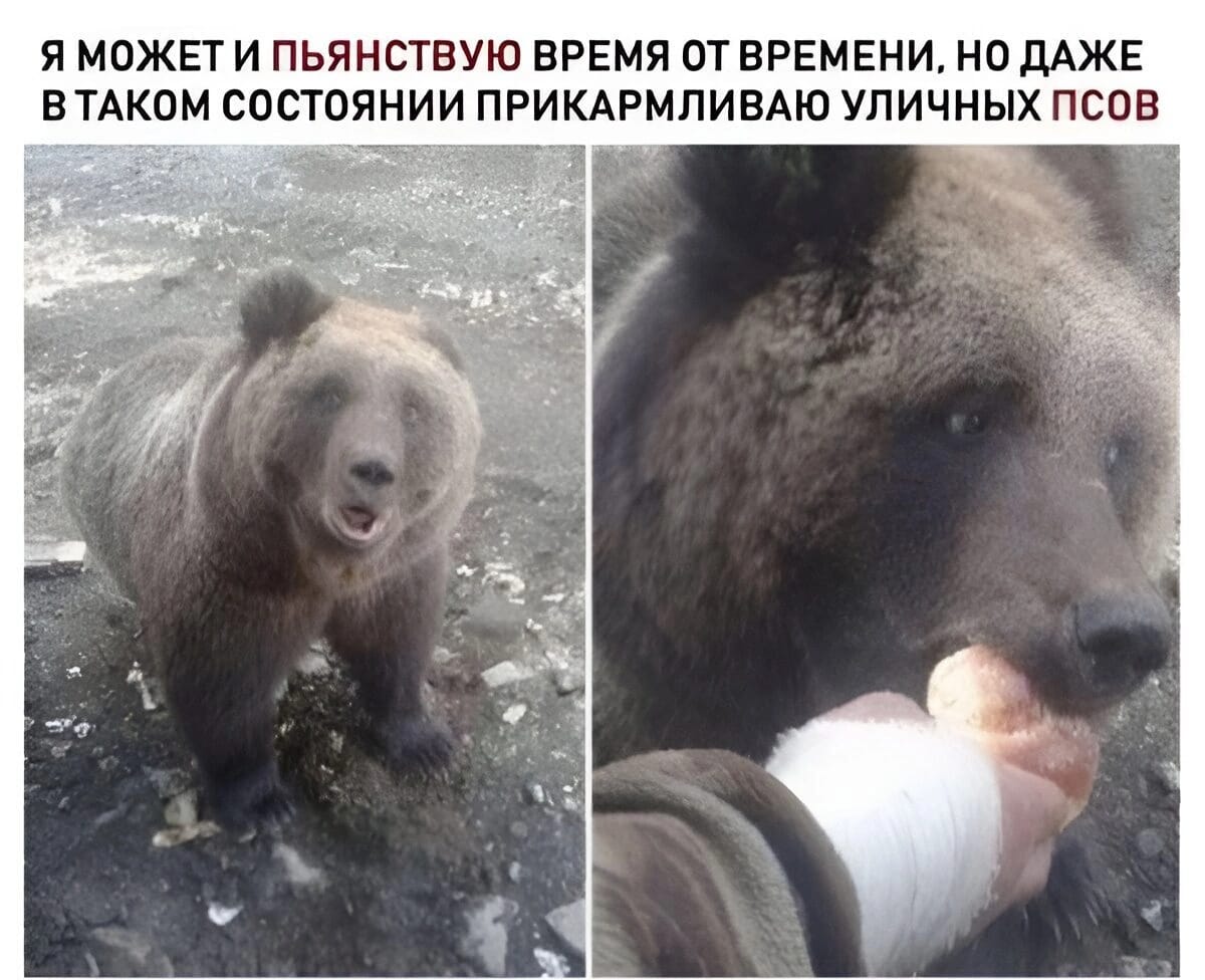 Приколюшные картинки - Бодибилдинг форум AnabolicShops