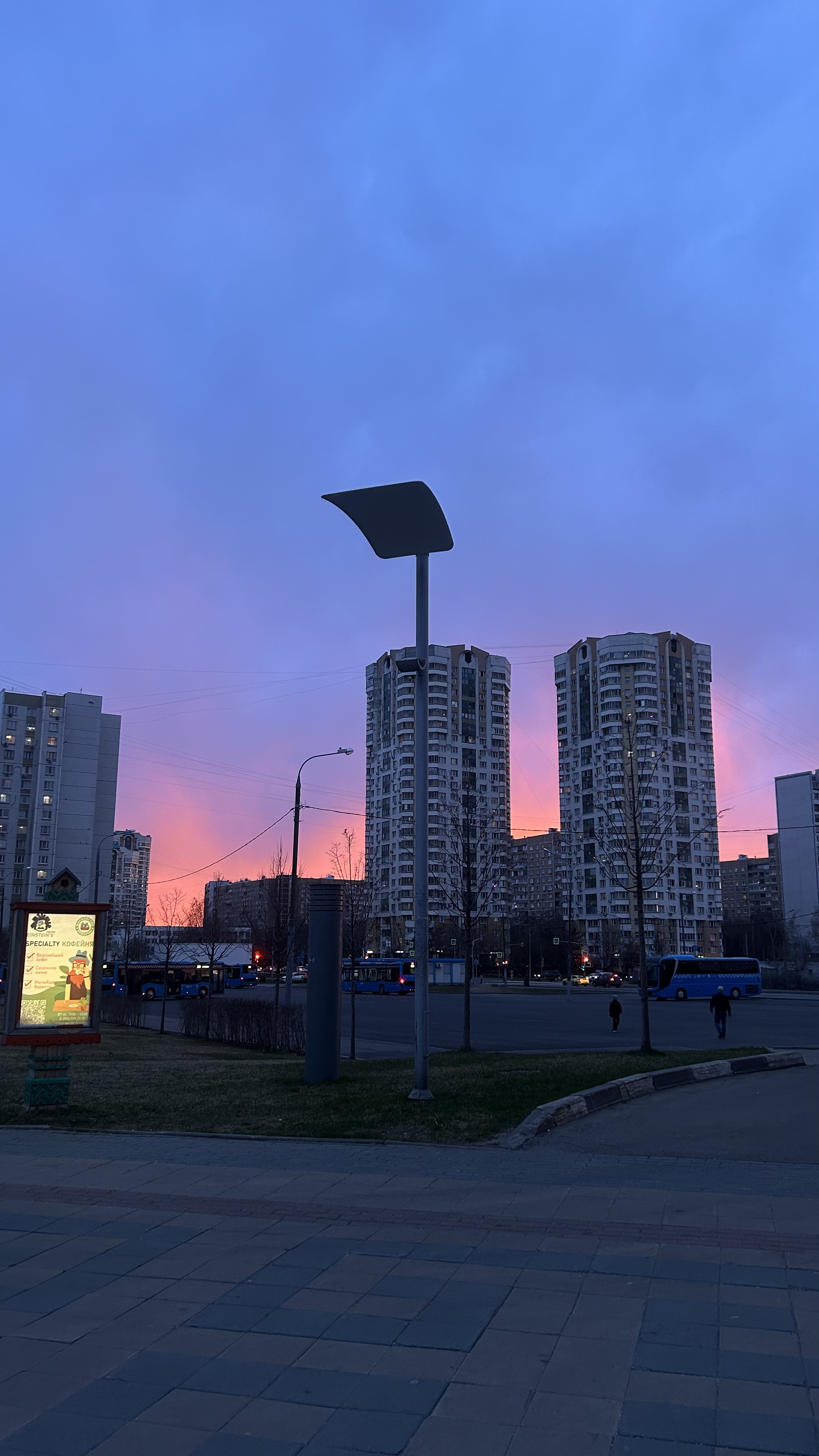 Mrs_muscles - Бодибилдинг форум AnabolicShops