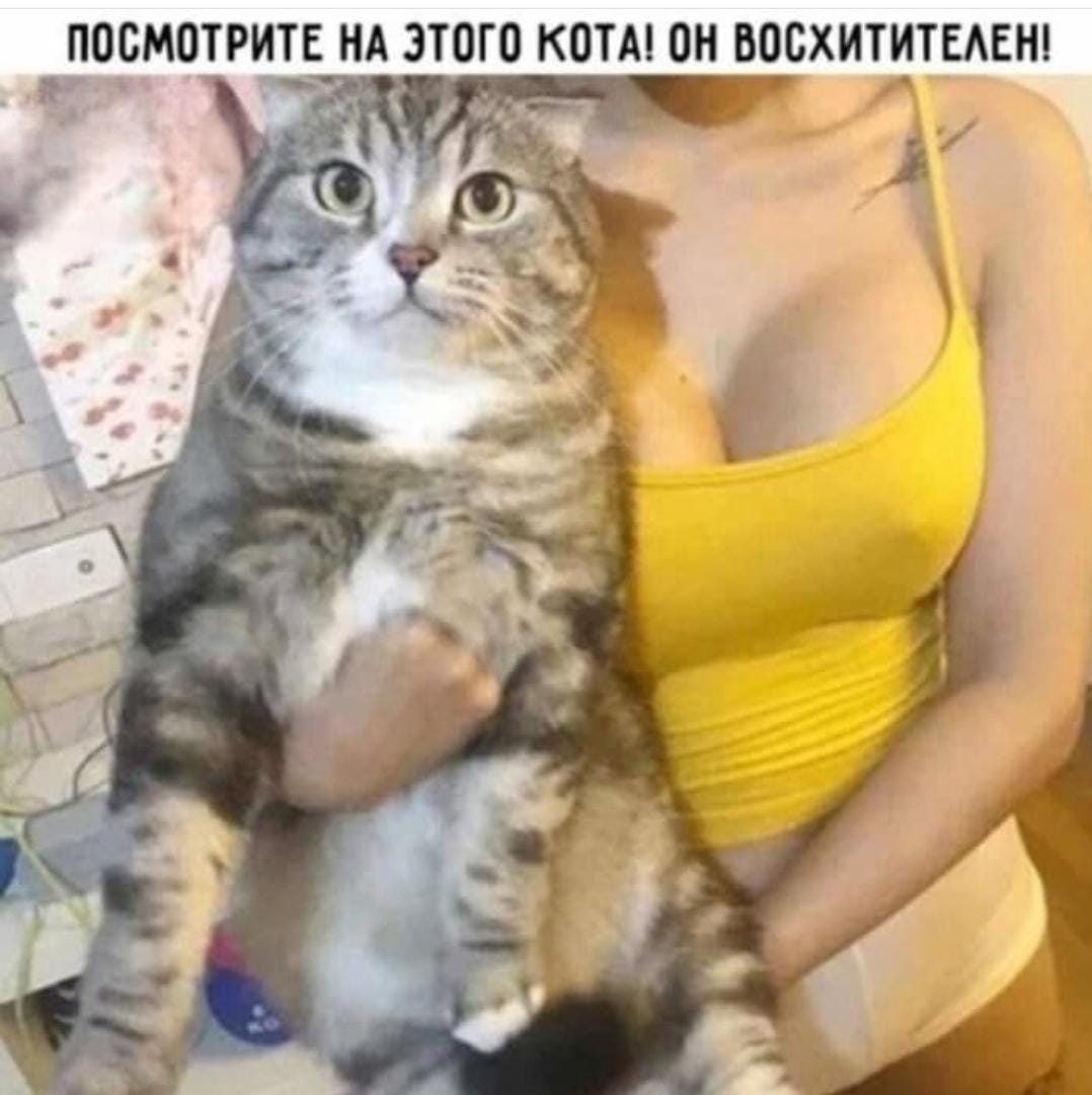 Приколюшные картинки - Бодибилдинг форум AnabolicShops