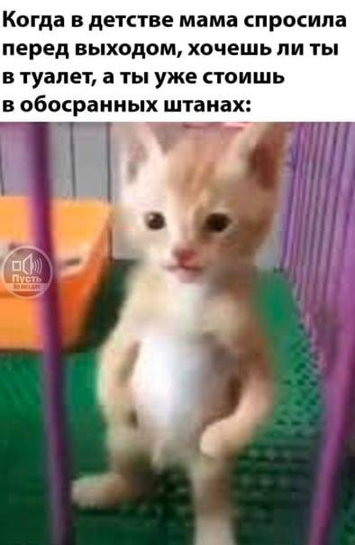 Приколюшные картинки - Бодибилдинг форум AnabolicShops