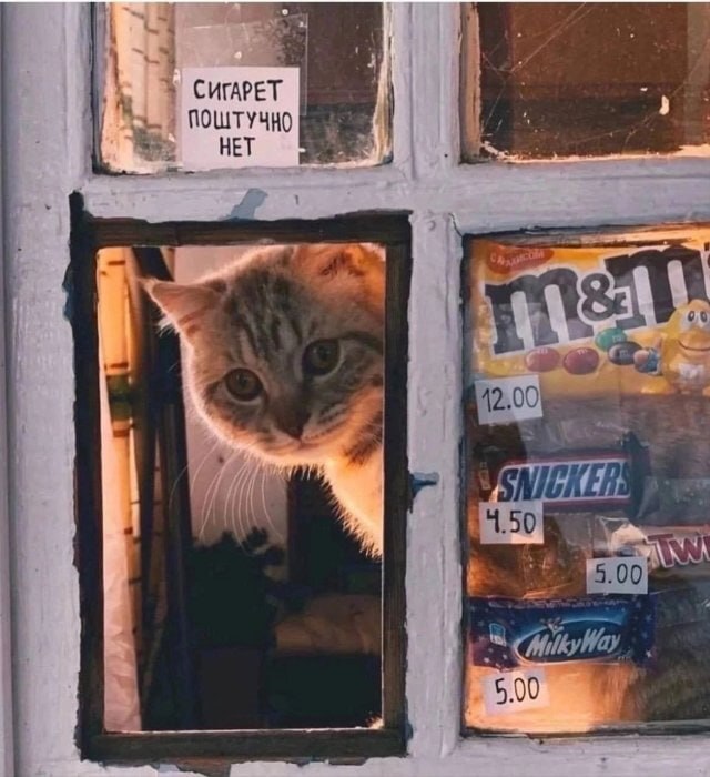 Приколюшные картинки - Бодибилдинг форум AnabolicShops