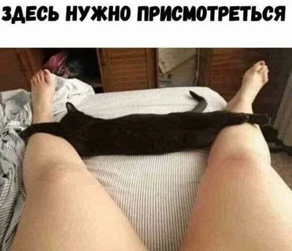 Приколюшные картинки - Бодибилдинг форум AnabolicShops