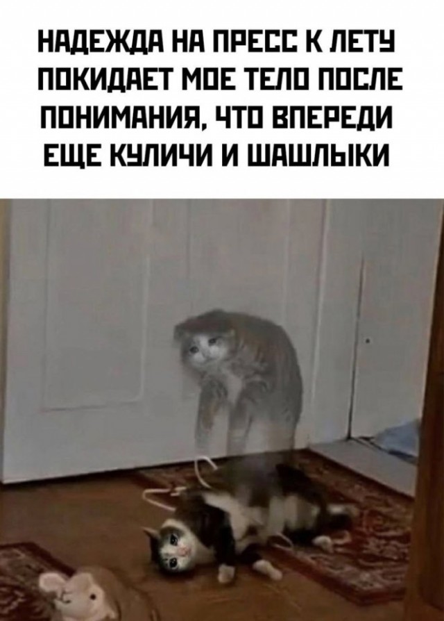 Курилка- разговоры на любые темы - Бодибилдинг форум AnabolicShops