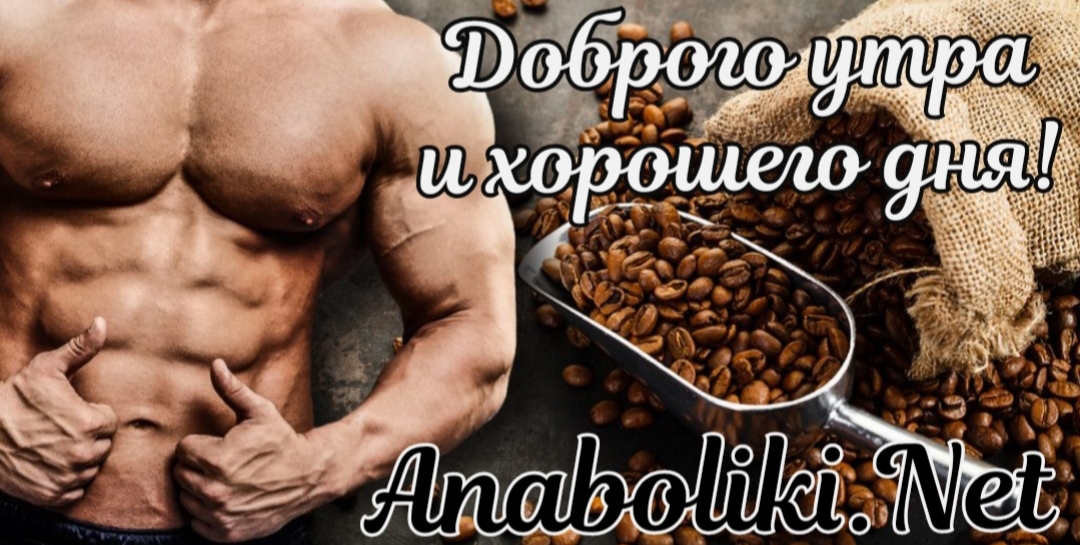 АНАБОЛИКИ.net - оф.дилер SP, Zerox, Genetic, Magnus, Lyka ! - Бодибилдинг форум AnabolicShops