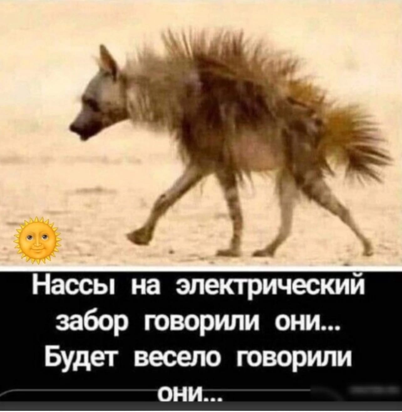 Приколюшные картинки - Бодибилдинг форум AnabolicShops