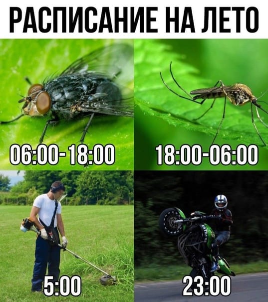 Приколюшные картинки - Бодибилдинг форум AnabolicShops