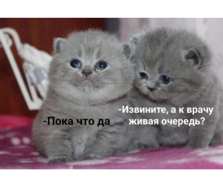 Приколюшные картинки - Бодибилдинг форум AnabolicShops