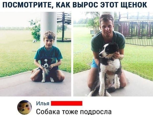 Приколюшные картинки - Бодибилдинг форум AnabolicShops