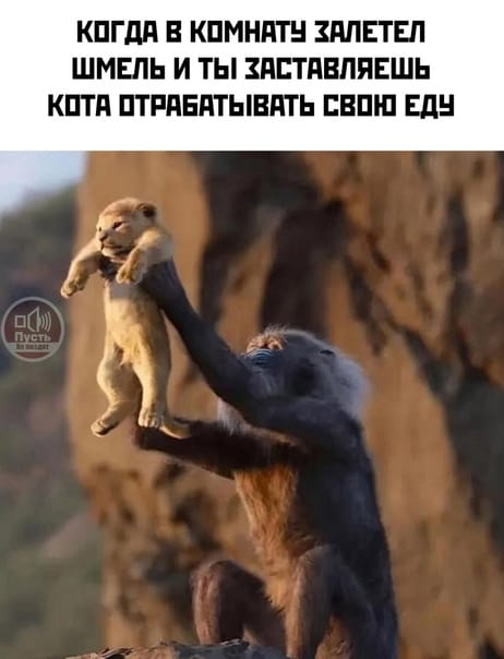 Приколюшные картинки - Бодибилдинг форум AnabolicShops