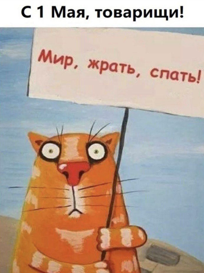 Курилка- разговоры на любые темы - Бодибилдинг форум AnabolicShops