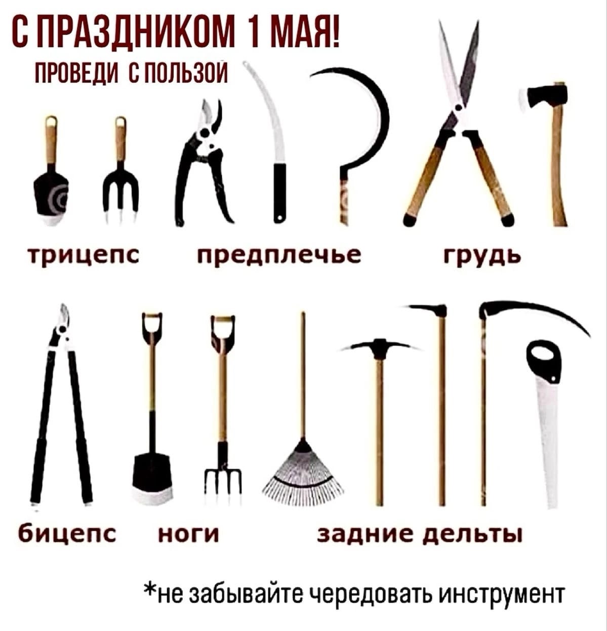 Приколюшные картинки - Бодибилдинг форум AnabolicShops