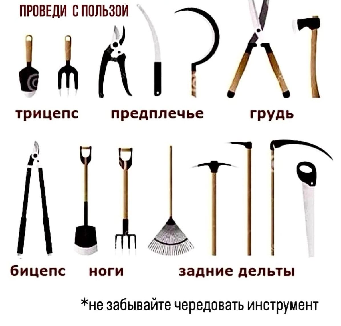 Hilma PRO - с заботой о вашем здоровье! - Бодибилдинг форум AnabolicShops