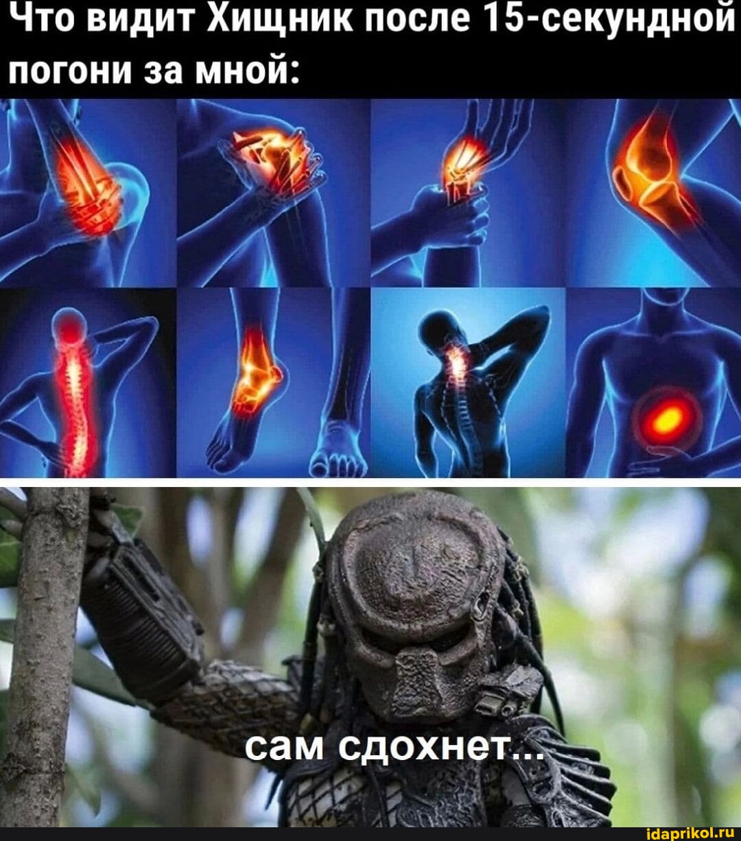 Молотки с гантелями к 9 мая 2025 - Бодибилдинг форум AnabolicShops