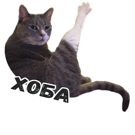 Курилка- разговоры на любые темы - Бодибилдинг форум AnabolicShops