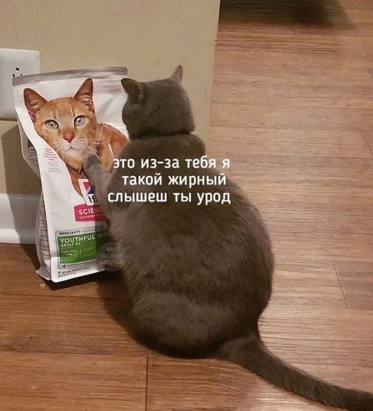 Курилка- разговоры на любые темы - Бодибилдинг форум AnabolicShops