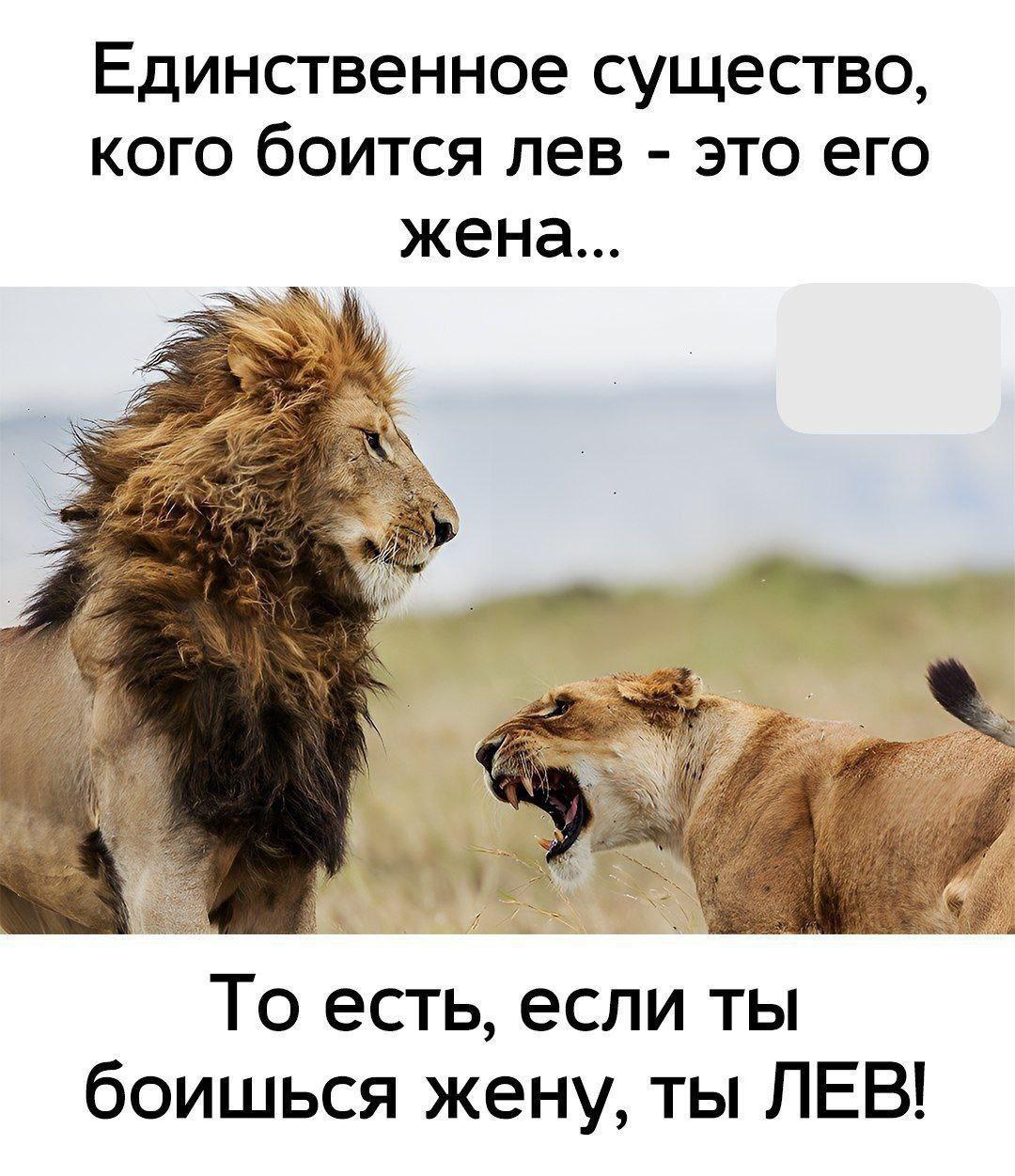 Приколюшные картинки - Бодибилдинг форум AnabolicShops