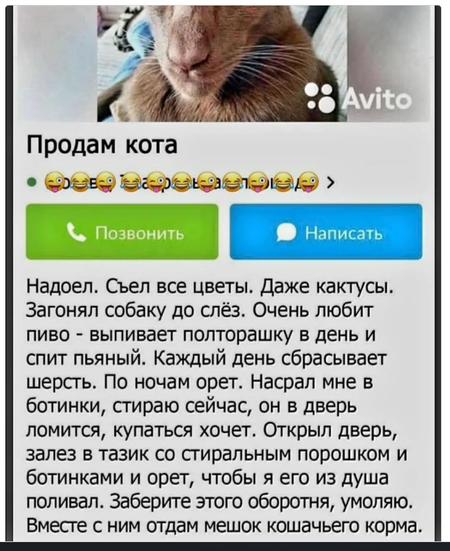 Курилка- разговоры на любые темы - Бодибилдинг форум AnabolicShops